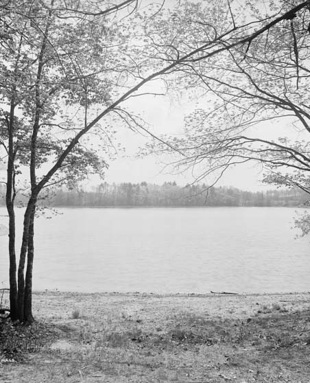 Walden written by Henry David Thoreau