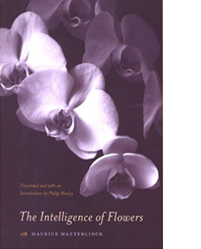The Intelligence of the Flowers by Maurice Maeterlinck