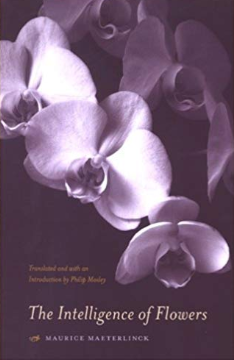 The Intelligence of the Flowers by Maurice Maeterlinck