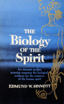 The Biology of the Spirit by Edmund W. Sinnott  