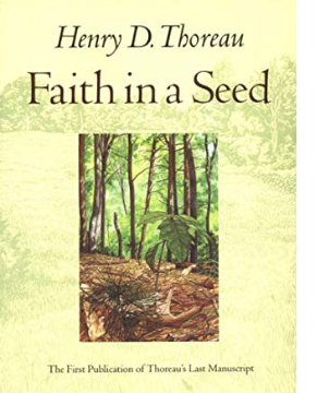 Faith in a Seed